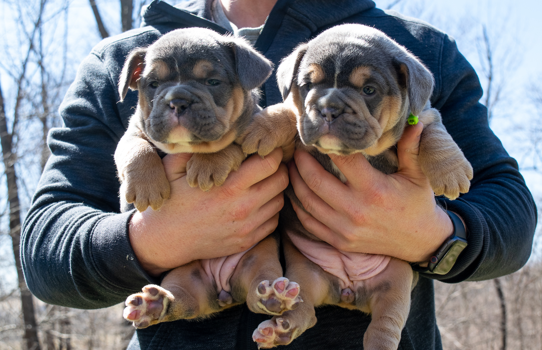 462336_578fc7995e3d4698b81c2f9999fbc41b~mv2